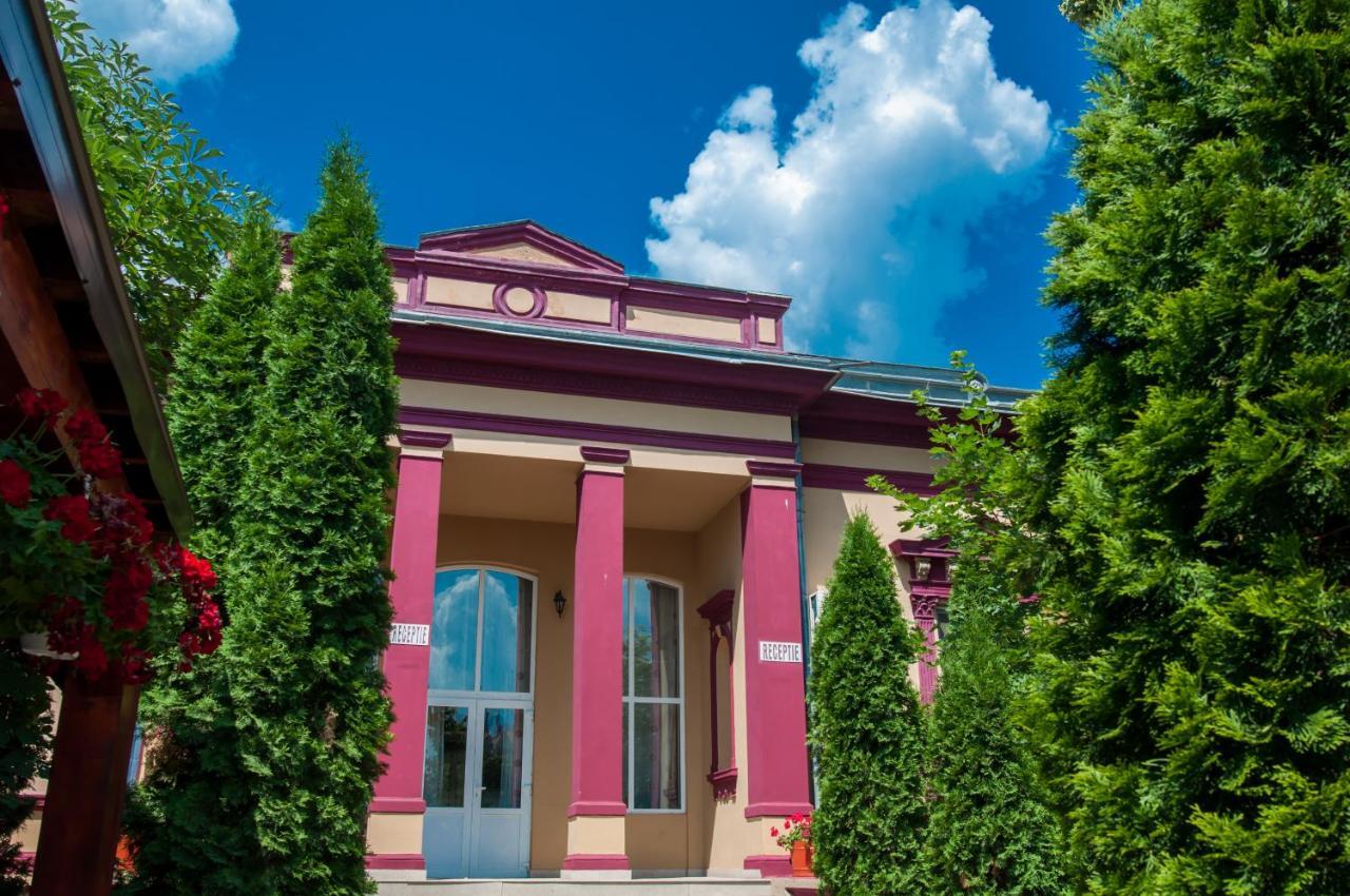 Pensiunea Splendid Dorohoi Exterior photo